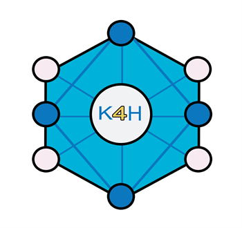 K4H1