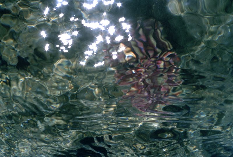 reflected light in water_low res