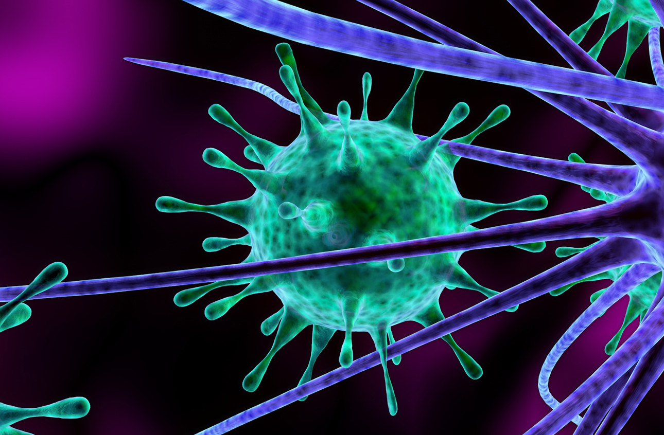 Viruses_attacking_nerve_cells_meningitis_rs_web